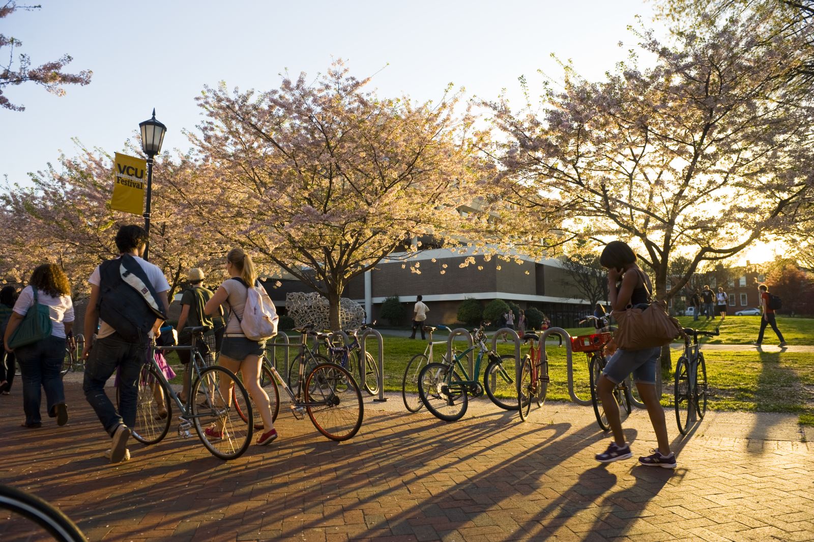 Students walk under flowering trees on campus as the sun sets.