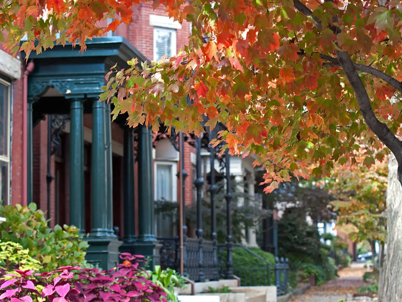 View of houses on franklin street.