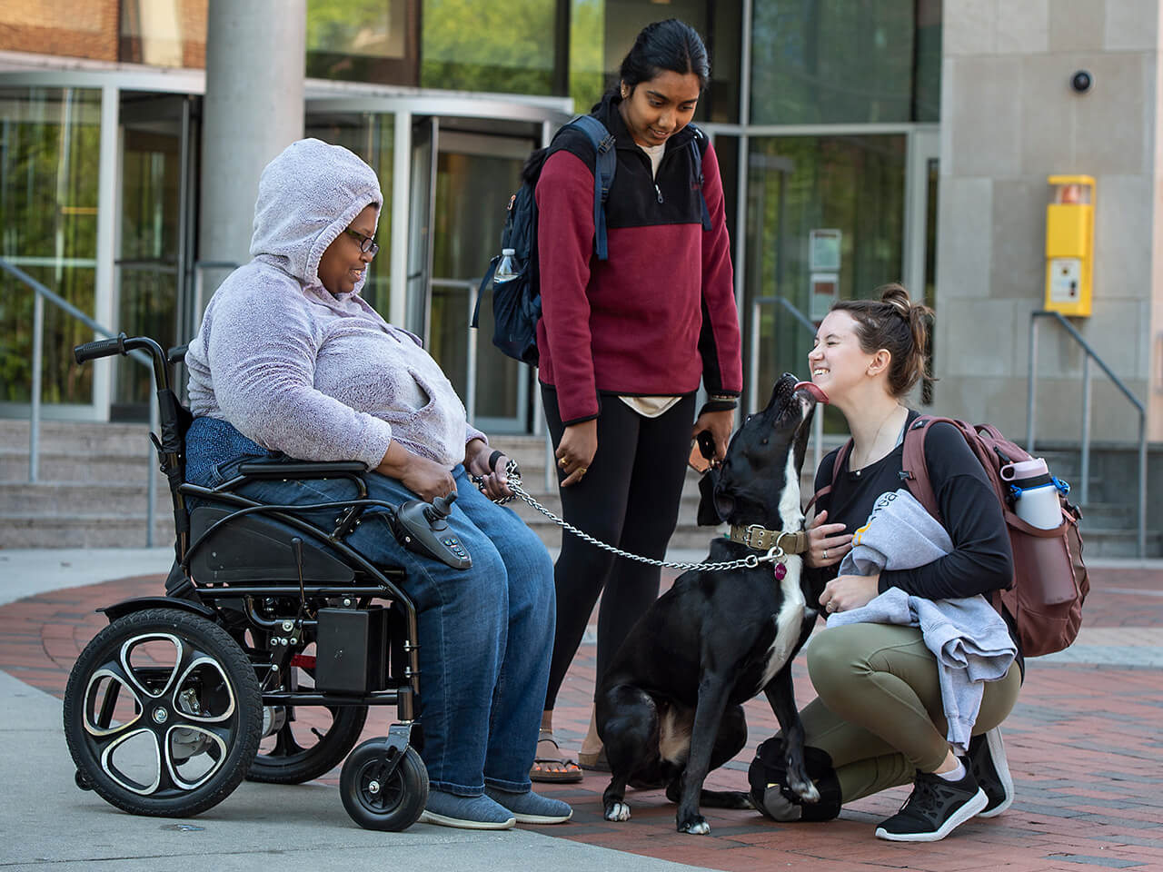 Students having a conversation with a service dog and owner